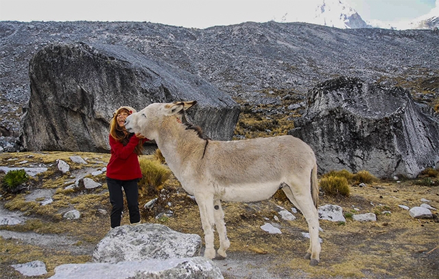 kim et petit âne au Pérou.jpg